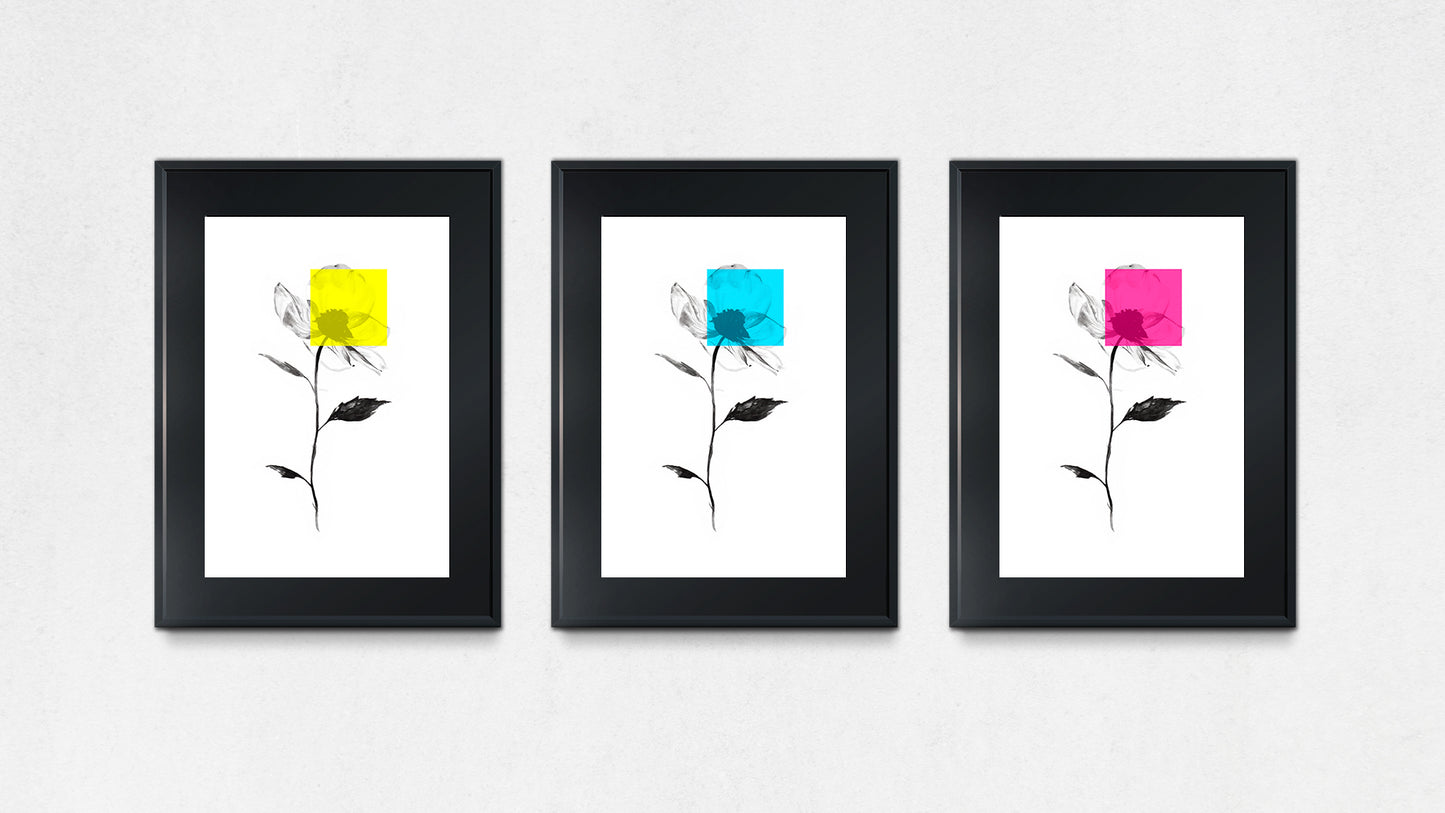 Las Flores de Maseda