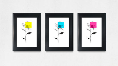 Las Flores de Maseda