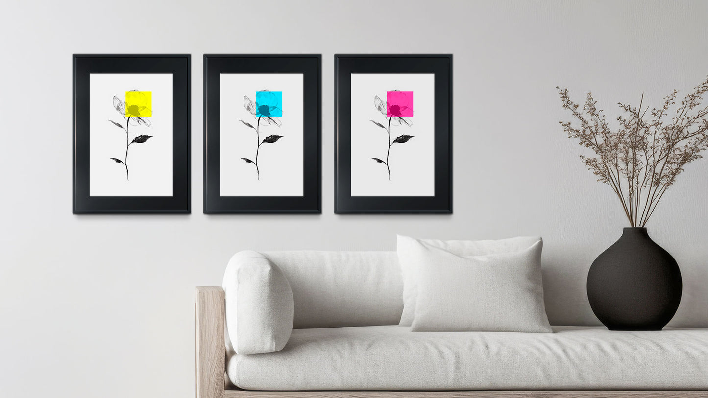 Las Flores de Maseda