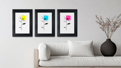 Las Flores de Maseda