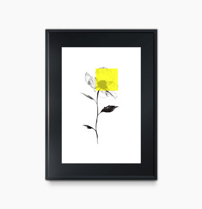 Las Flores de Maseda