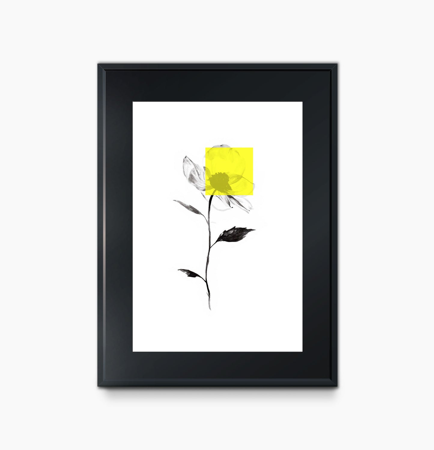 Las Flores de Maseda