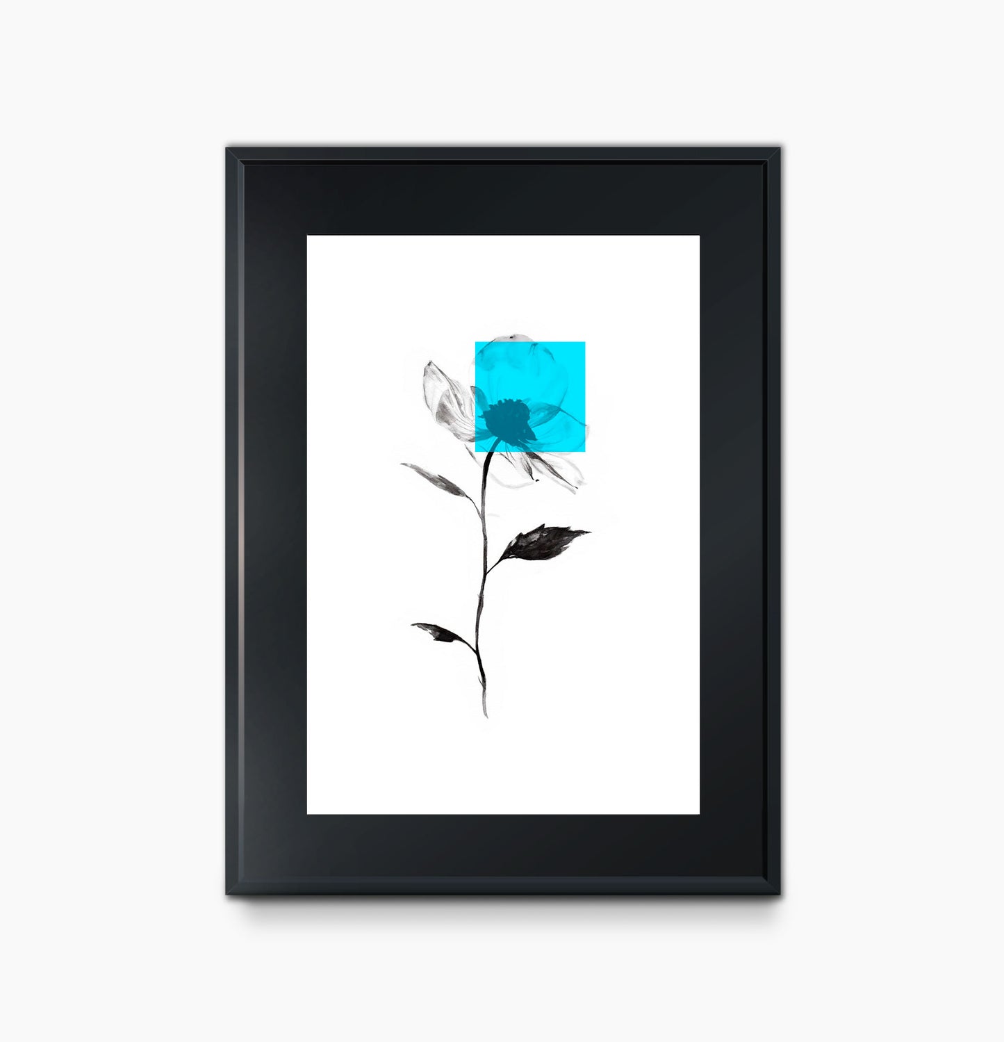 Las Flores de Maseda